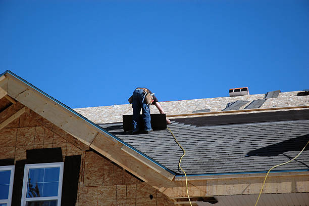 Best Roof Gutter Cleaning  in Newell, WV