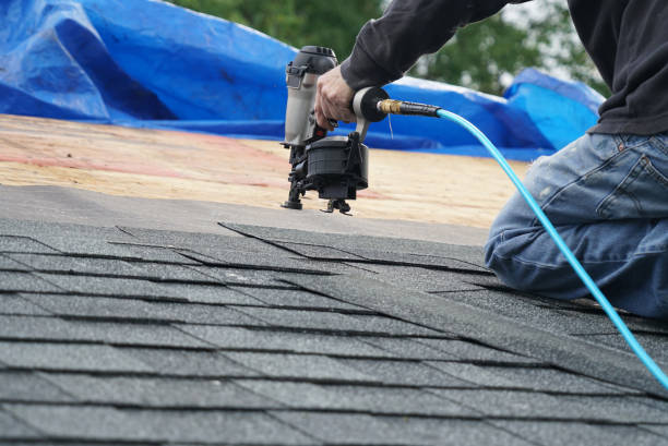 Best Gutter Installation and Roofing  in Newell, WV