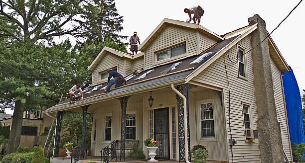 Best Storm Damage Roof Repair  in Newell, WV