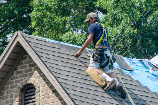 Best Roof Replacement Cost  in Newell, WV