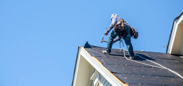Roof Gutter Cleaning in Newell, WV